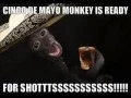 Cinco De Mayo Funny Quotes Pictures Sayings Facebook Status