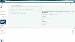 Easy JavaScript - How to iterate through HTML Form Elements 51