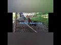 21DAYS CONDITIONING METHOD USE BY FIREBIRD GAMEFARM