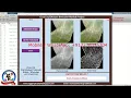 Corn Plant Disease Detection Using Matlab Corn Plant Disease Prediction Using Image Processing
