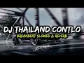DJ THAILAND CONTLO BREAKBEAT (Slowed \u0026 Reverb) 🎧