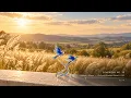 Classical Music for Work & Study · Tchaikovsky, Mozart & Beethoven · 4 Hours