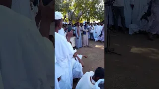 وتر شوامة بلة ودالاشبة 