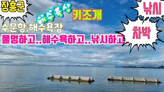 장흥군 수문항 수문해수욕장 차박하고 해수욕하고 낚시하고... 무료차박지 썸네일