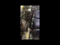cat skid loader skid steer fuel pump problems solved
