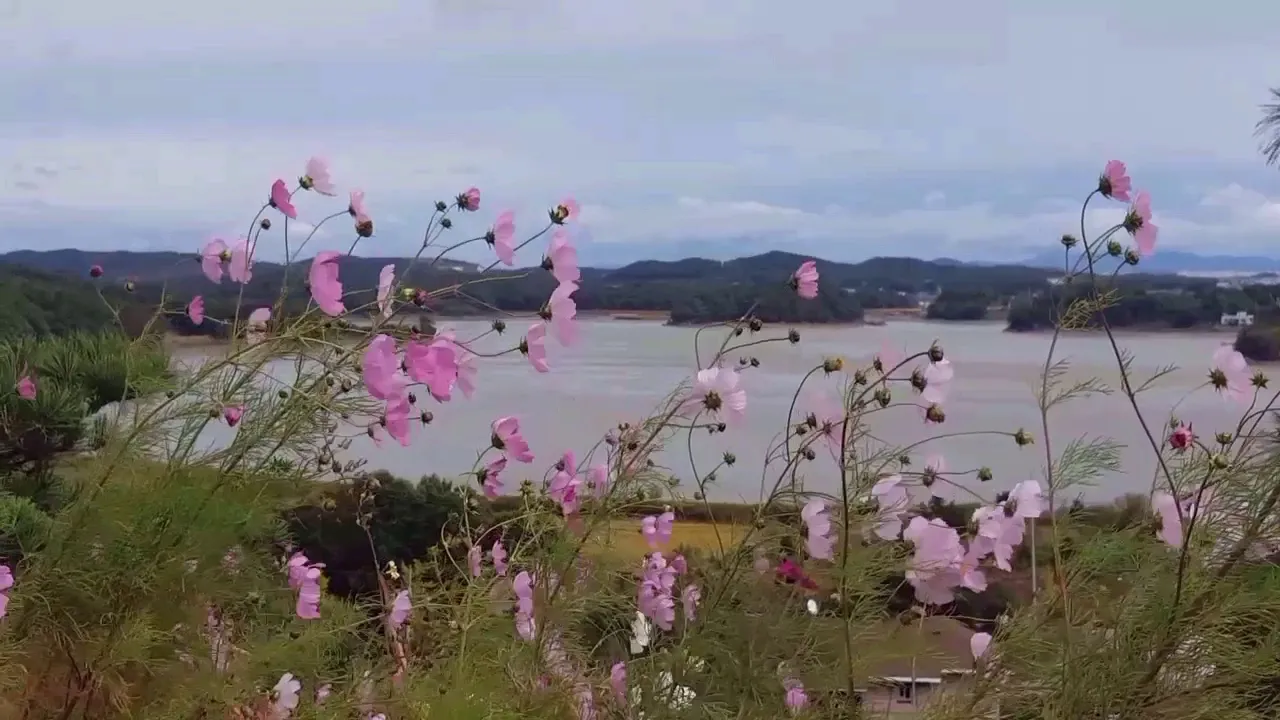 Flow Gently, Sweet Afton / Bill Douglas/염하(소금강) Flow Gently, Sweet Afton / Bill Douglas/염하(소금강)