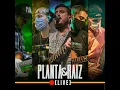 Salmo 91 (Live) - Planta e Raiz