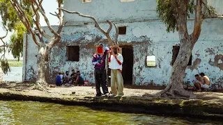                             سمارا         دندنها