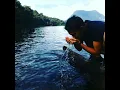 Download Lagu Wahai jiwa jiwa yang tenang 😄