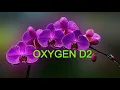 Pyar Ke Mod Pe Karaoke With Scrolling Lyrics Oxygen D2 Asha Suresh Parinda 1989