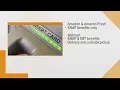 Online snap benefits