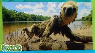 EWWW Wet Sloth Earth Rangers