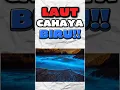 Download Lagu Tahukah kamu, laut bisa menyala biru. #bioluminescence #lautbiru #shortvideo #faktaunik #shorts