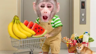 Obi monkey is out shopping for some yummy fruits with Kittens