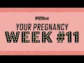 Download Lagu Your pregnancy: 11 weeks