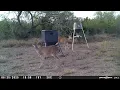 New South Texas Deer Lease