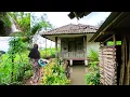 Lagu HIDUP DI DESA TERASA SANGAT MEWAH MESKIPUN SEDERHANA, PESONA ALAM INDAH DAN AIR TERJUN TERSEMBUNYI