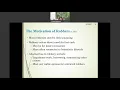 Lecture on Chapter 11 Robbery and Assault CRIM 2330 Theories of Crime Causation