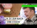 Download Lagu JURRE WORDT GEBETEN DOOR EEN SPIN!  | Steken en Prikken #9 | NPO Zapp