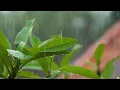 Rain Sound Effect for Sleeping-- Relaxing