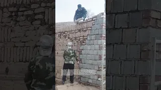 Human Ants Building Mud Houses With Pure Skill TraditionalBuilding TeamworkMagic 