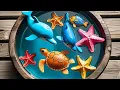 Download Lagu Dive Into Aqua World: Puffer, Clown, Eel, Goldfish, Seahorse, #dolphin #shark #starfish
