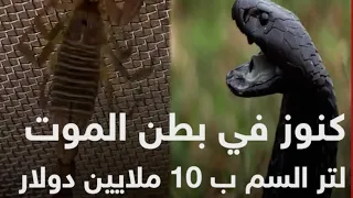 عشرة ملايين دولار ثمن لتر من السم دندنها
