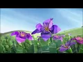 Sherwin-Williams Commercial 2019