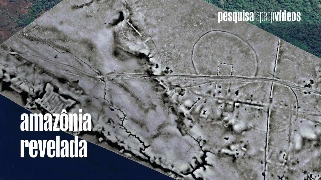 Os segredos da floresta #amazon #amazonia #indigenousheritage #ciencia