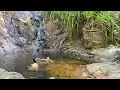 Download Lagu raw memories from: el nido