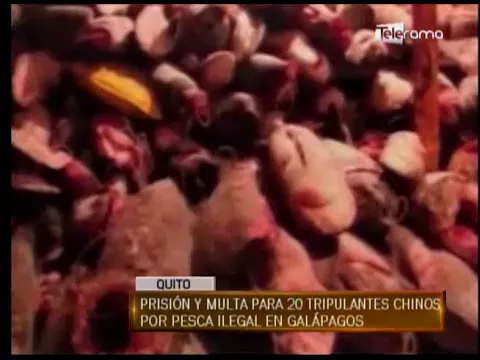 Prisión y multa para 20 tripulantes chinos por pesca ilegal en Galápagos