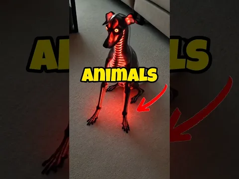 Animals That Glow in the Dark  #shorts #animals