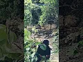 Download Lagu ini parah nih tenang tenang..ahahahaha