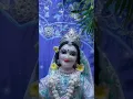 Download Lagu Shyam o nache rai i nache #radhakrishna #radhamadhav #harekrishna #shreekrishna #radharanibhajan