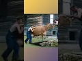Download Lagu inegi kuyuya atıyorlar ama..