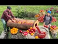 Lagu Making Pomegranate Juice With a Giant Wooden Press