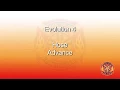 PPA Evolution 4