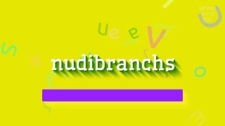 HOW TO SAY NUDIBRANCHS 