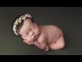 Austin Newborn Photographer - Silver Bee Photography