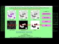Leukemia Blood Cancer Detection Using CNN With Source Code Leukemia Detection Using Python Code