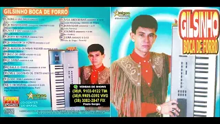 GIlsinho Boca de Forró - Volume 2