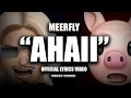 MeerFly  - \