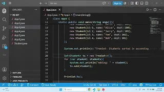Java Set Containers TreeSet HashSet