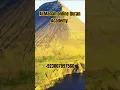 Download Lagu Soulful Recitation of Surah Al-Ala | Best of Islam#bestofislam #surahalala #islam  #viral #shorts