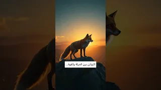 الثعلب فارس الغابات وسيد الخداع معلومات المكر أسطورة فارس حقائق معلومات اقتباسات اقتباسات  الثعلب فارس الغابات وسيد الخداع معلومات المكر أسطورة فارس حقائق معلومات اقتباسات اقتباسات