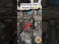 Download Lagu Why Cleaning Your Knock Sensor Is A Terrible Idea || Knock Sensor Cleaning #ytshorts #shorts #engine