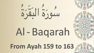                                                                                              دندنها
