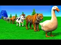 Download Lagu Long Slide Game with Cow Elephant Gorilla Hippopotamus Tiger 3d Animal Game Funny 3d Animals