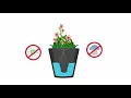 Introducing TruDrop a revolutionary self-watering system