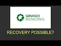 Is Ginko Bioworks stock setting up to recover A DNA chart analysis